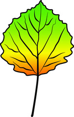 linden leaf vector colour autumn