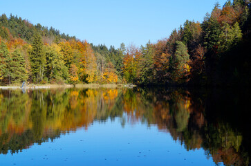 sunny day by the colorful autumnal lake Alatsee in Bavaria (Germany)