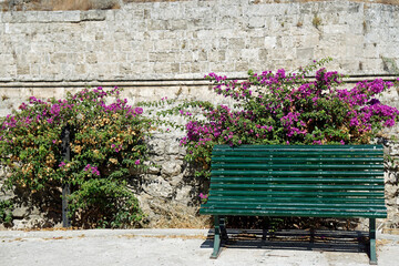 old fortress in rhodes oldtown