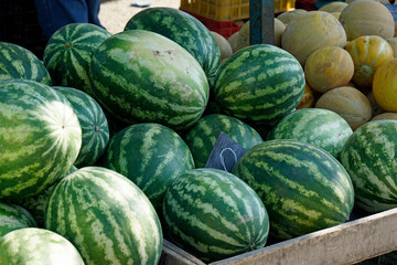 on walter and honey melons a market in rhodes