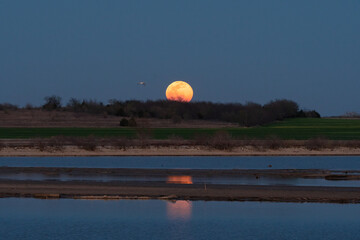 Full moon rising behind trees on the horizon over a lake