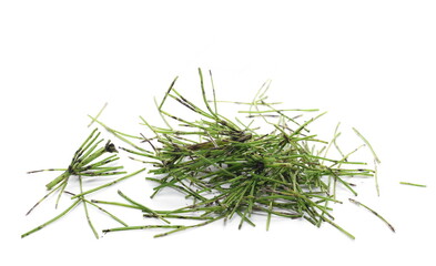 Sliced fern (horsetail) pile isolated on white background
