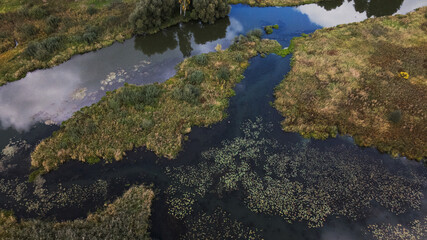Park area. A winding river with water lilies. Swampy area. Aerial photography.