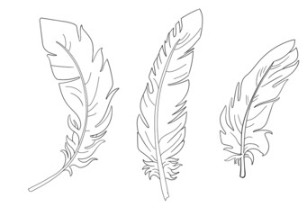 Set of bird feathers.hand-drawn design elements..Outline with white background.