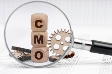 There is a magnifying glass on the documents that points to the cubes with the inscription - CMO