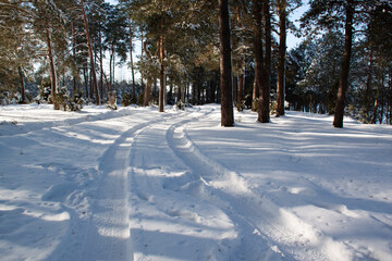 winter road in the forest on a sunny day