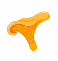 Chanterelle mushroom. Woodland mushroom with a yellow and orange cap. Hand-drawn isolated vector illustration.