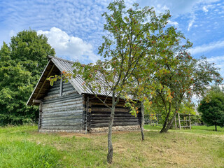 old wooden house in the forest