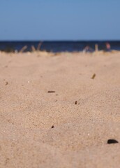 coastline, beach in the suburbs. summer holidays. a sunny day on a suburban beach. vertical frame
