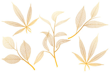 Set leaf veins of gold on white. Vector illustration. 
