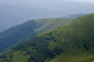 Fototapeta premium View of the beautiful Carpathian mountains
