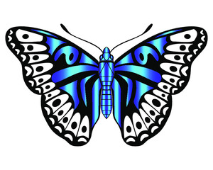 Bright blue  butterfly. Vector illustration isolated.