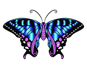 Beautiful bright blue exotik butterfly. Vector illustration isolated.