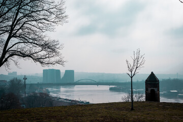 Fototapeta na wymiar Blue foggy city and a river on a cloudy day