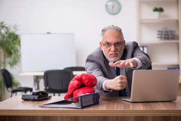 Old businessman employee wearing boxing gloves at workplace