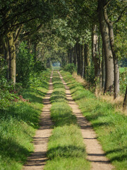 Fototapeta premium Die Provinz Gelderland in den Niederlanden