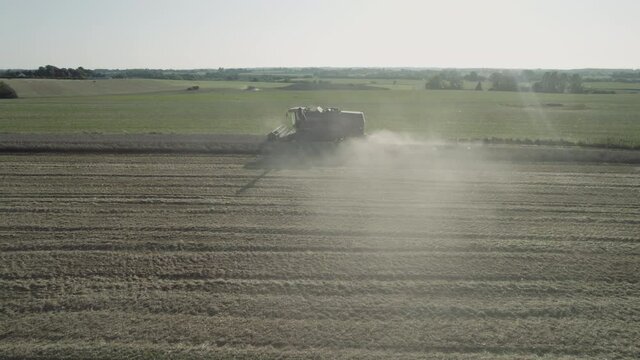 Aerial low parallel shot of Harvester harvests in the field, agriculture