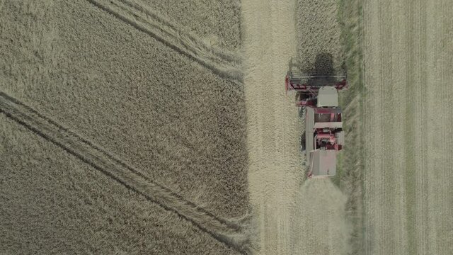 Aerial bird's eye view close up shot of Harvester harvests in the field agriculture