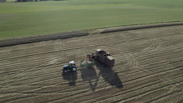 Aerial tracking shot of Harvester fills carts with grain agriculture