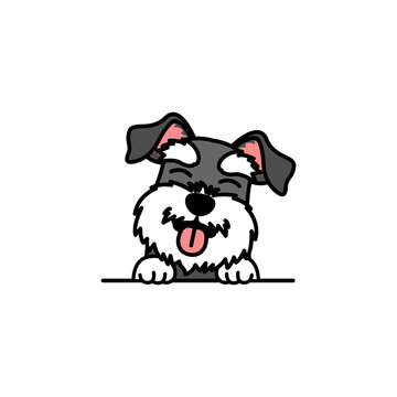 Cute miniature schnauzer puppy smiling cartoon, vector illustration