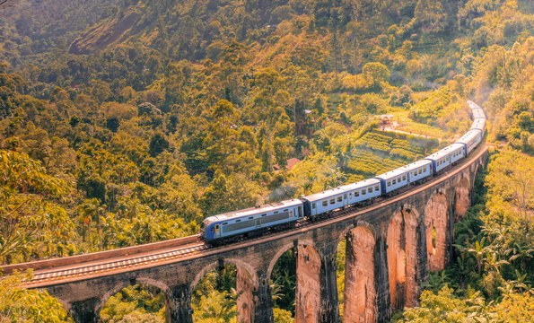 Aerial view of train on rail passing between field of trees