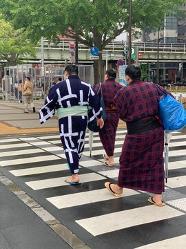Back view of women in kimonos walking on pedestrian lane