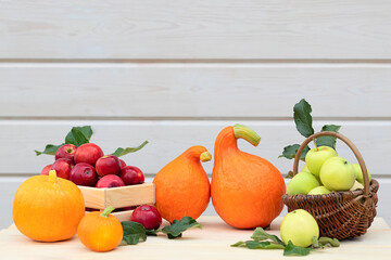 Autumn still life with pumpkins and apples on a light woody background, top view with a place for text, harvesting.