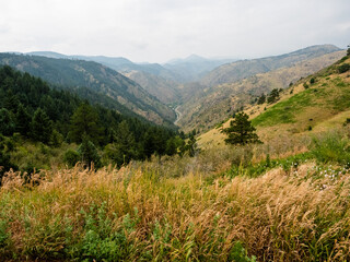 Obraz premium Colorful nature landscape with green and orange grass and layers of mountains in the distance.