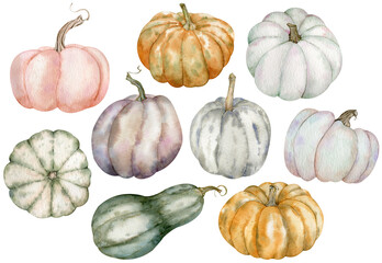 Watercolor thanksgiving pumpkin clipart. Hand-drawn colorful pumpkins - pink, grey, orange, green. Set of vegetables harvest isolated on the white background.