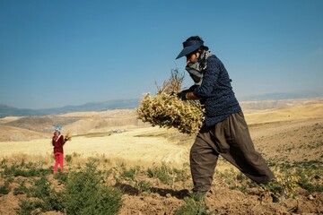 farmer and a girl in the field