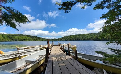 wooden pier on the lake