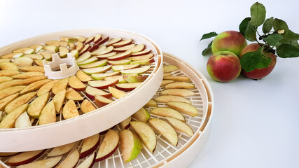 the apples are cut into slices and lie on a tray for an electric dryer. fruit harvesting. drying of vegetables and fruits in autumn