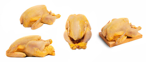 fresh raw chicken with yellow skin, chicken on white background, multiple positions of whole chicken for cooking