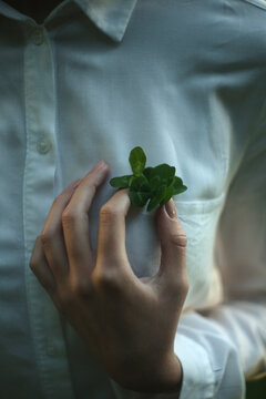 Person holding green leaf on light button up shirt
