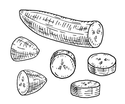 Pieces of fresh peeled banana. Vintage vector engraving black