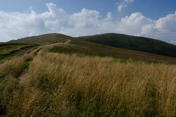 Fototapeta premium landscape in the mountains