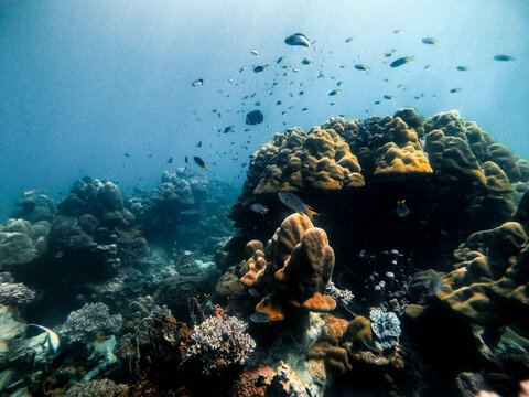 Underwater shot of deep sea