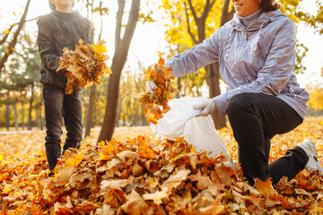 Mom and child are cleaning fallen leaves in the park. A woman and a boy are gathering foliage....