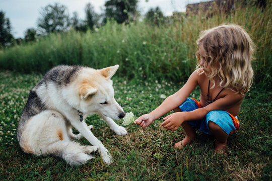 Young blond boy making Czechoslovakian Wolfdog smell a white flower