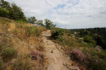 Path on a hill with heather and ruins in the background.