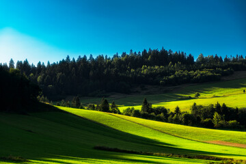 Fototapeta premium landscape with grass and blue sky