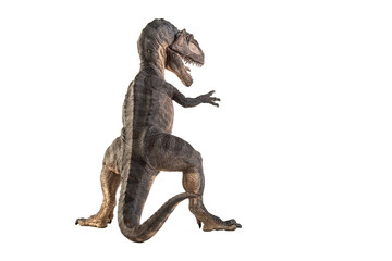 Obraz premium Giganotosaurus Dinosaur on white background