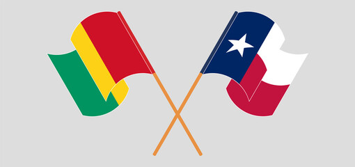 Crossed and waving flags of Guinea and the State of Texas