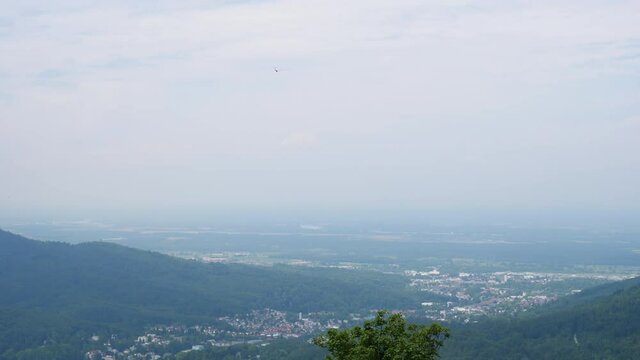Aerial view of flying motorless glider low angle view of plane D-3278 Junior