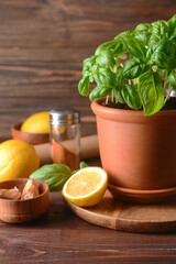 Fresh basil in pot, lemon and garlic on wooden background