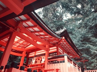 Fushimi Inari Taisha Temple - Kyoto