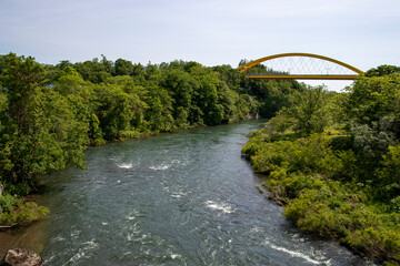 niseko bridge over river in the forest