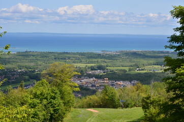 Obraz premium landscape with trees and river
