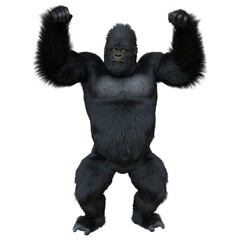 Black silver gorilla 3d illustration isolated on white © elenaed