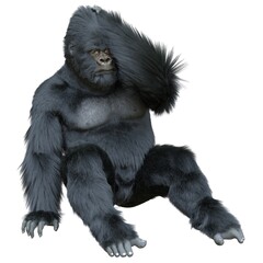 Black silver gorilla 3d illustration isolated on white